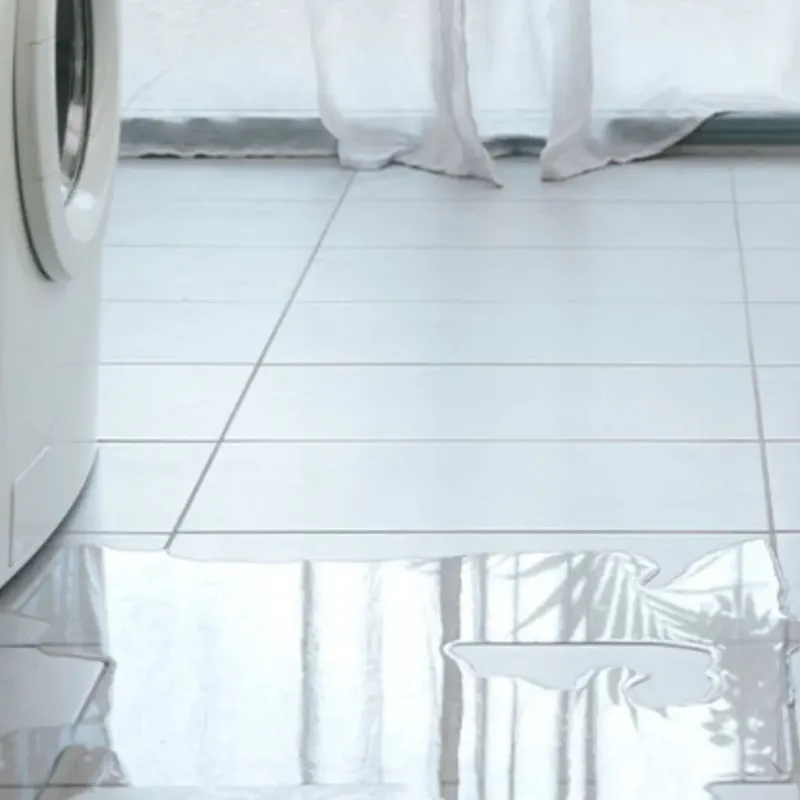 Appliance Leak Cleanup in Lisbon, IA