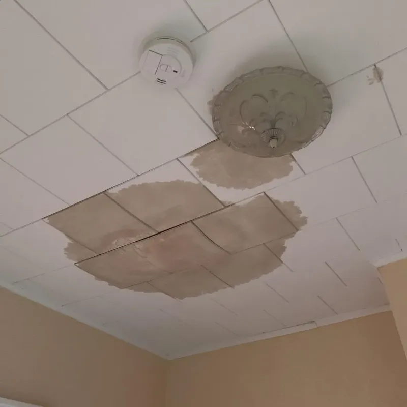 Ceiling Water Damage Repair in Lisbon, IA