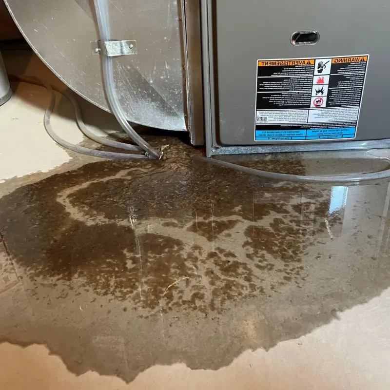 Pipe Burst and Leak Restoration in Lisbon, IA